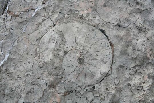 Countertop Geology - Great Lakes Granite & Marble